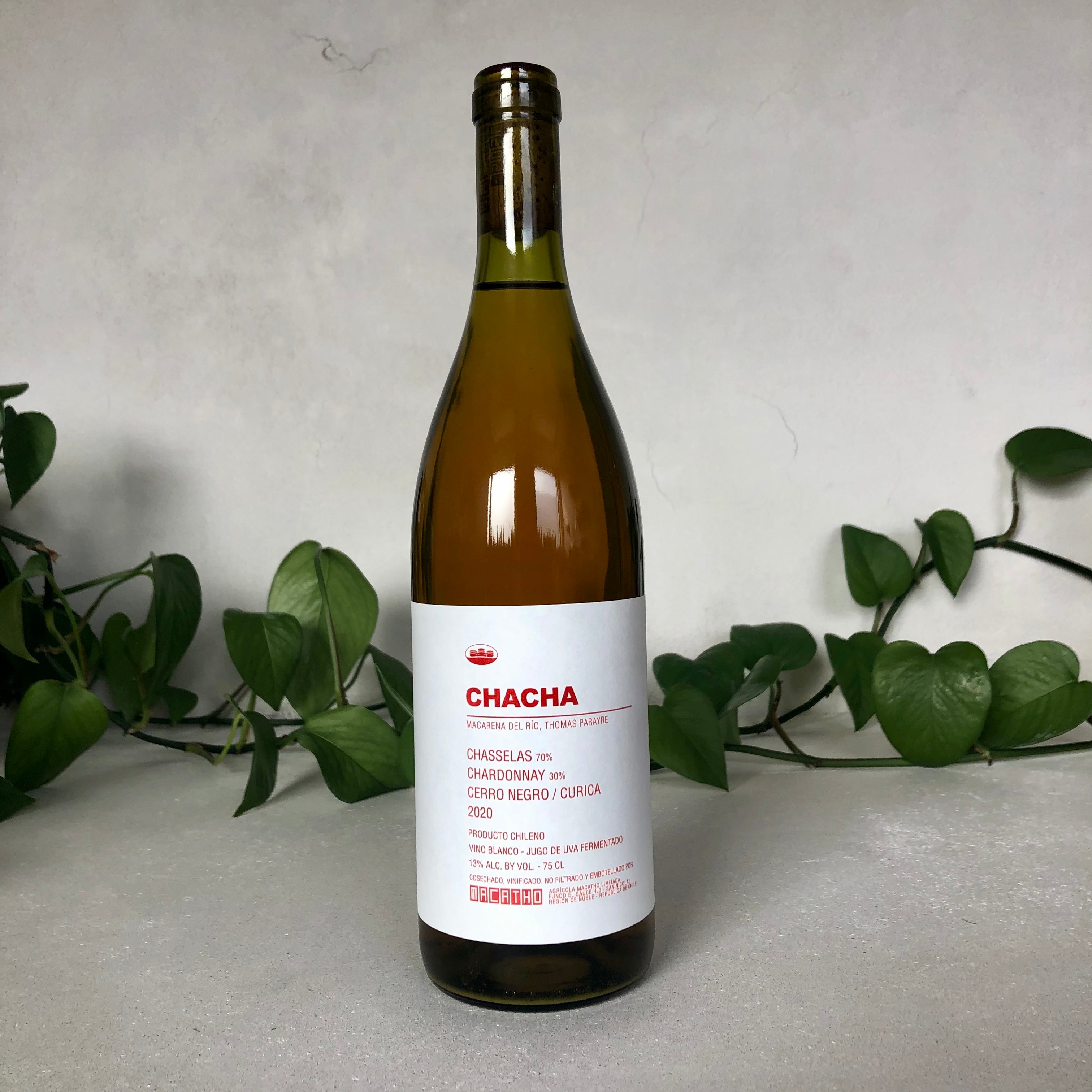 Macatho - Chacha - Itata Valley, Chile