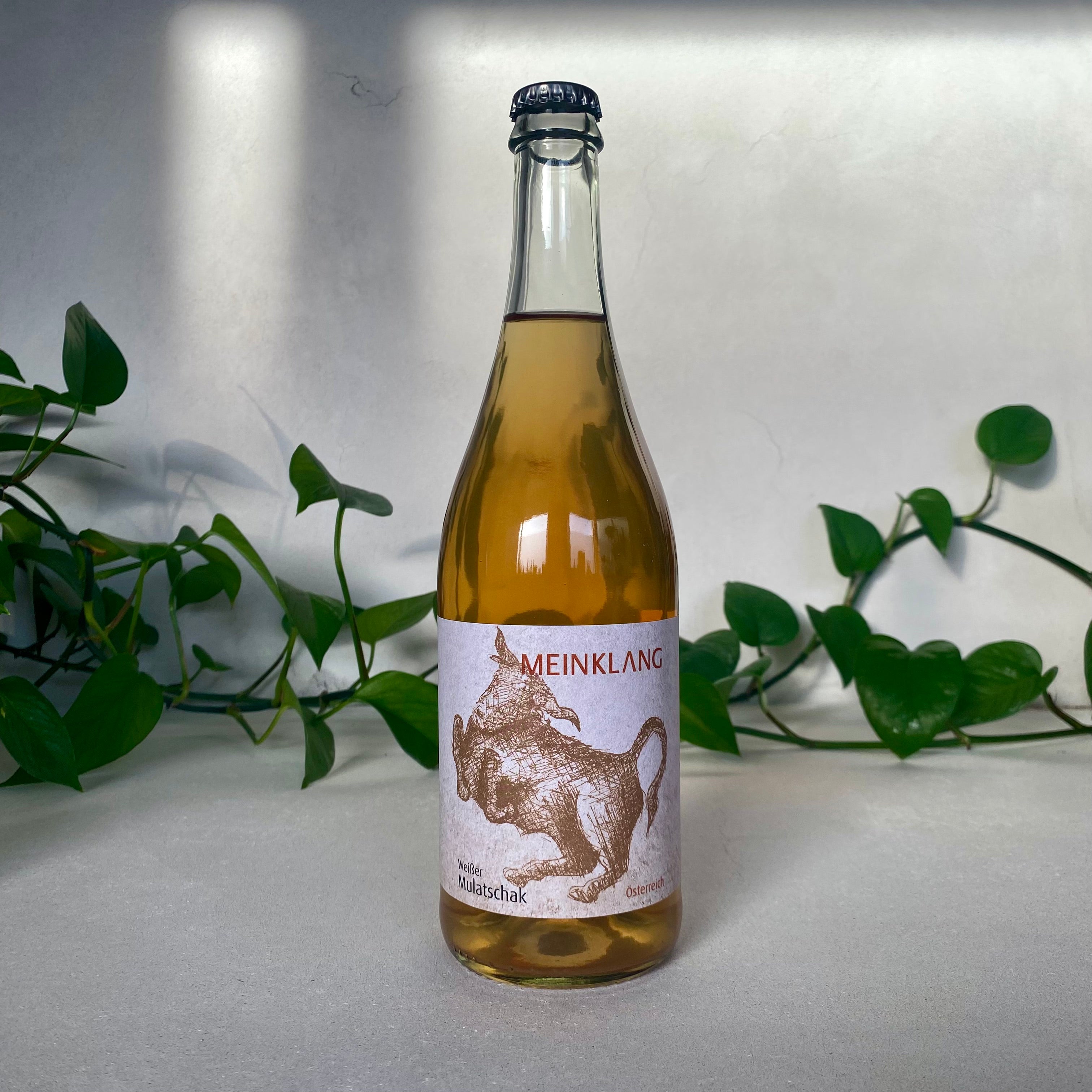 Meinklang - Weisser Mulatschak - Burgenland, Austria