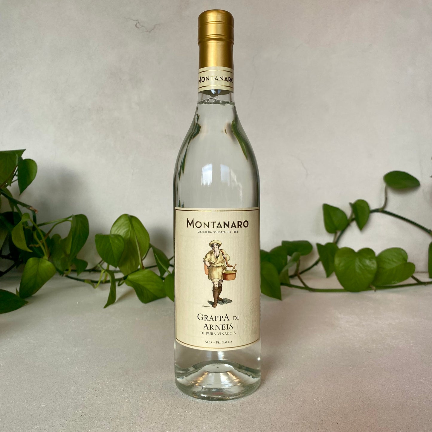 Montanaro - Grappa di Arneis - Piedmont, Italy