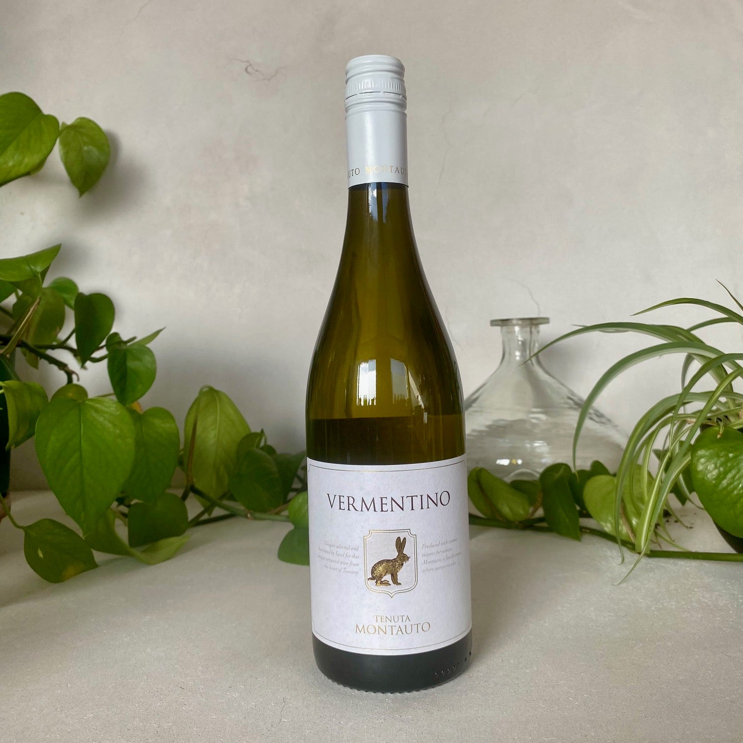 Montauto - Vermentino - Tuscany, Italy