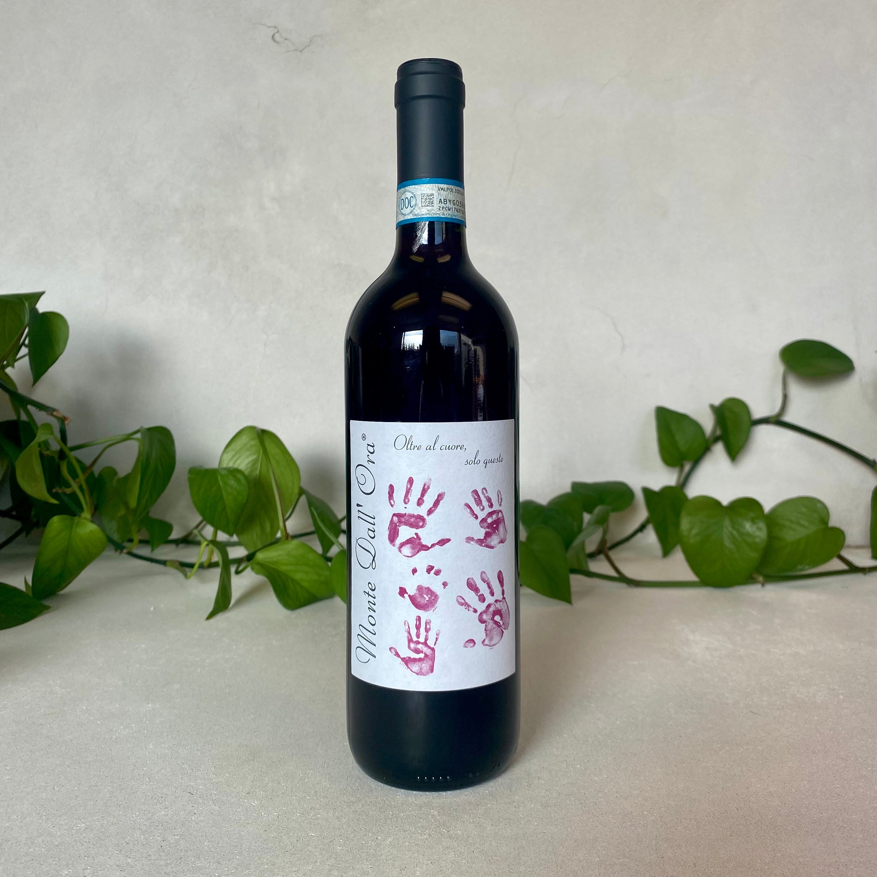 Monte dall'Ora - Valpolicella Classico 'Saseti' - Veneto, Italy