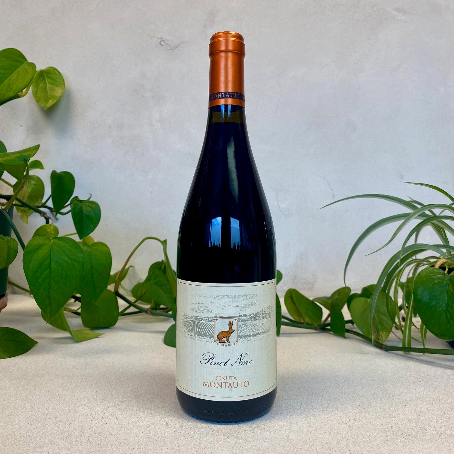 Montauto - Pinot Nero - Tuscany, Italy