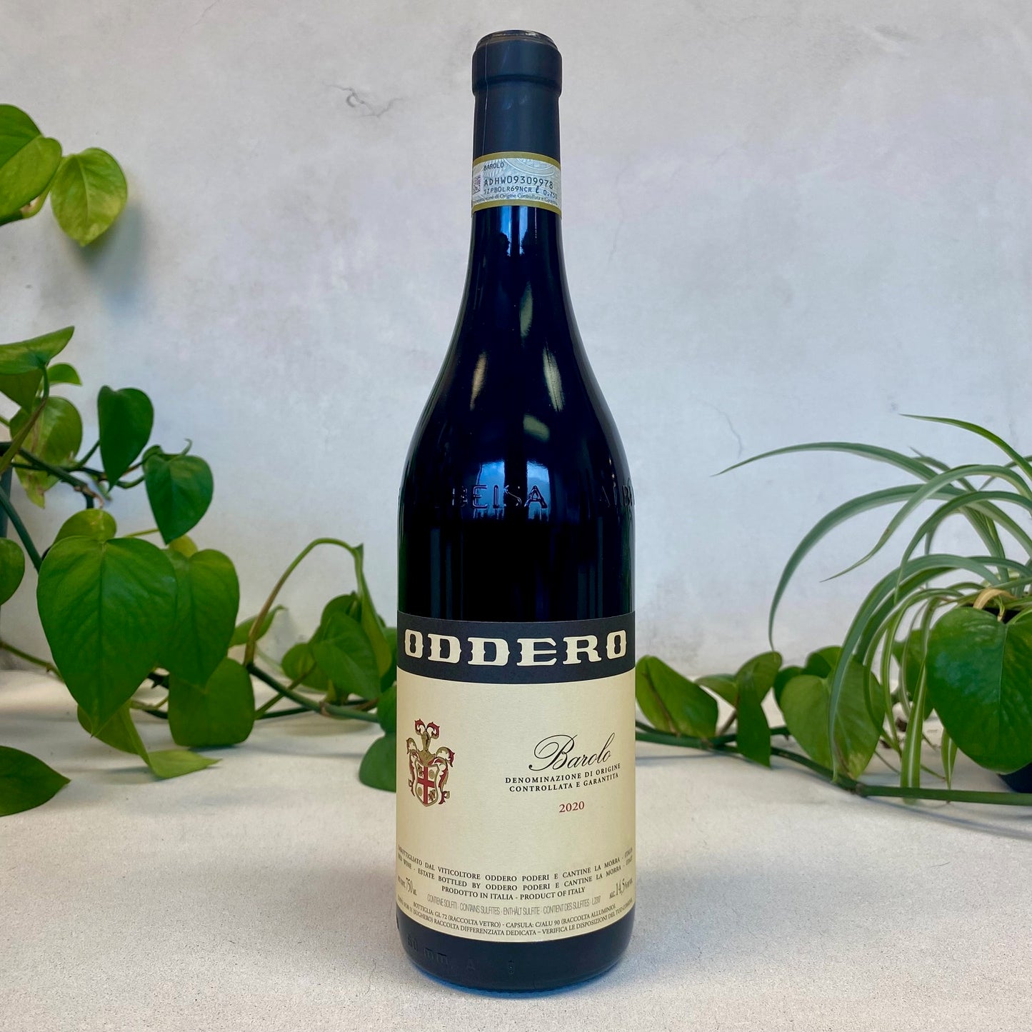 Oddero - Barolo - Piedmont, Italy