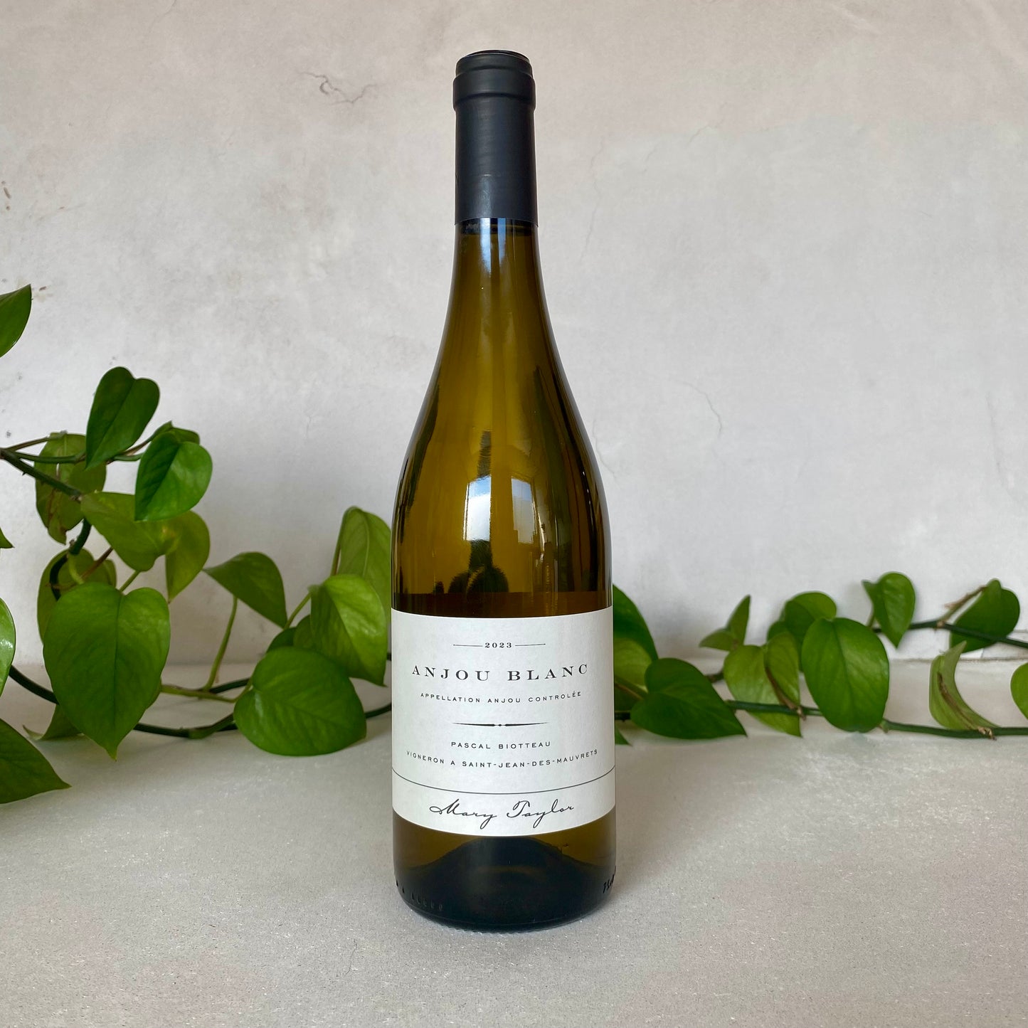 Pascal Biotteau - Anjou Blanc - Loire, France