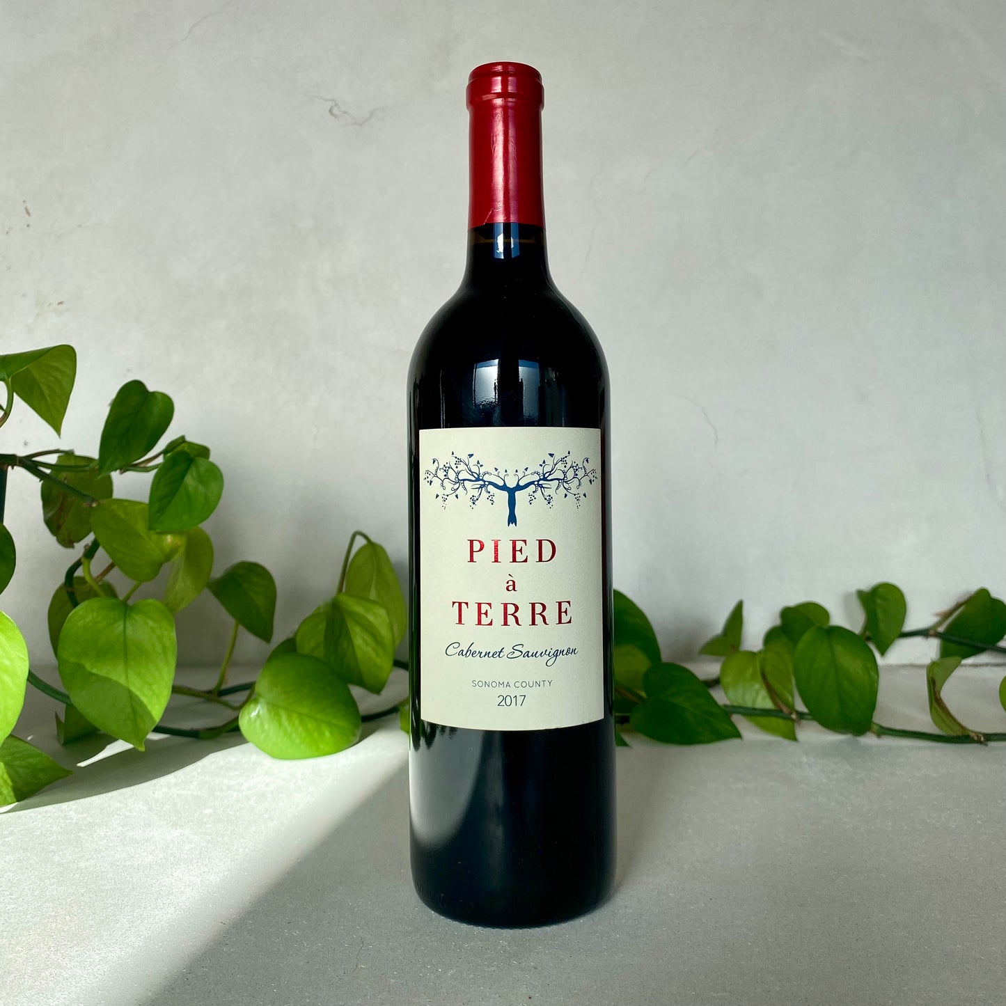 Pied à Terre - Cabernet Sauvignon - Sonoma County, California