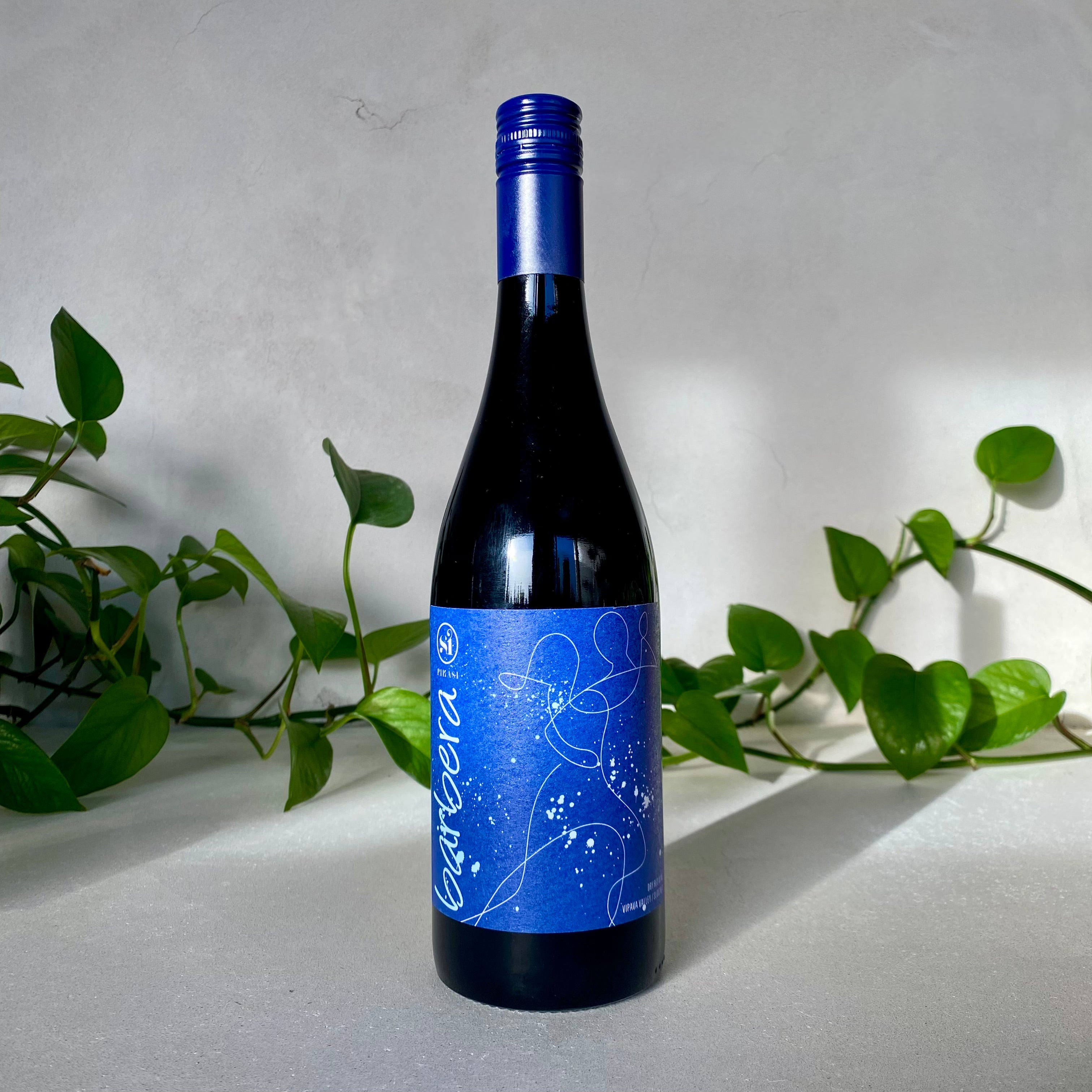 Pikasi - Barbera - Brje, Slovenia