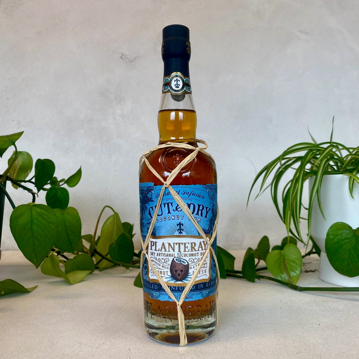 Planteray - Cut & Dry Coconut Rum - Barbados