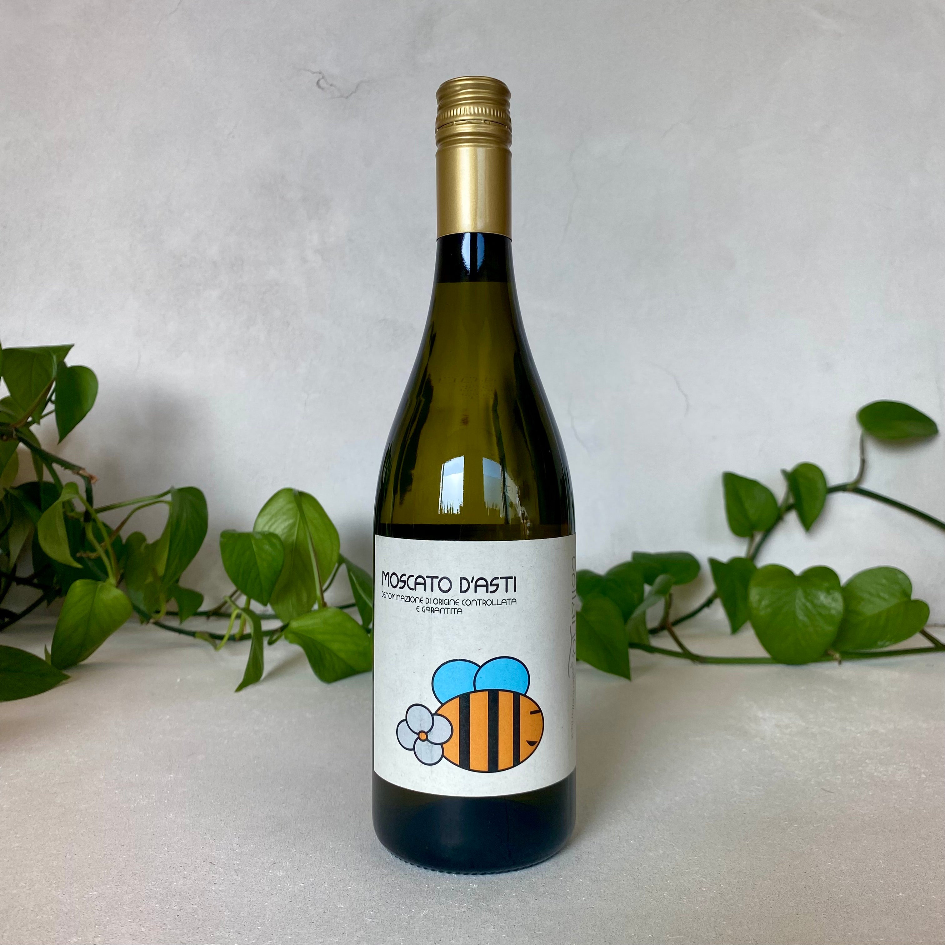 Poderi Cellario - Moscato d'Asti - Asti, Italy