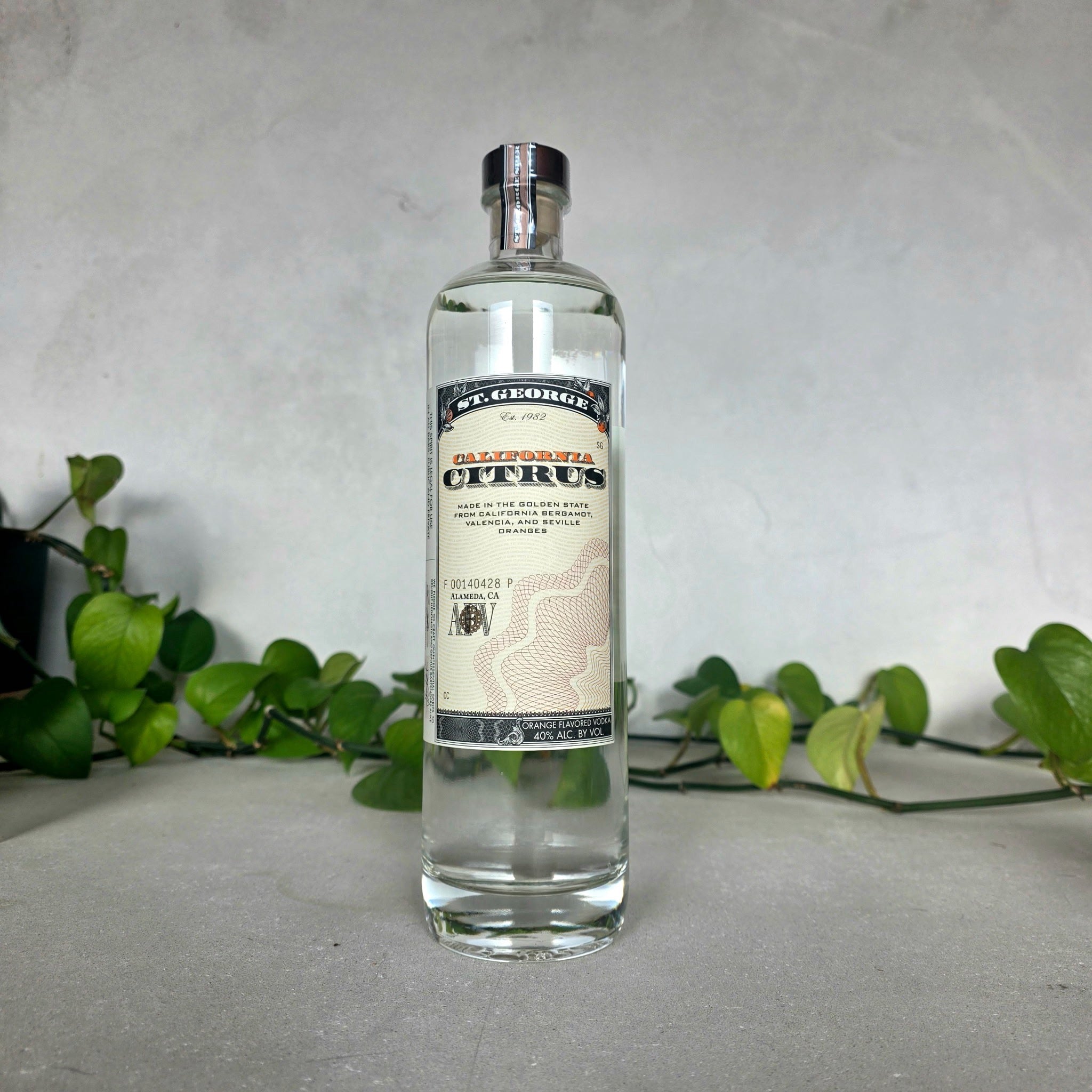 Bottle of St. George Spirits California Citrus gin on a neutral background with greenery.