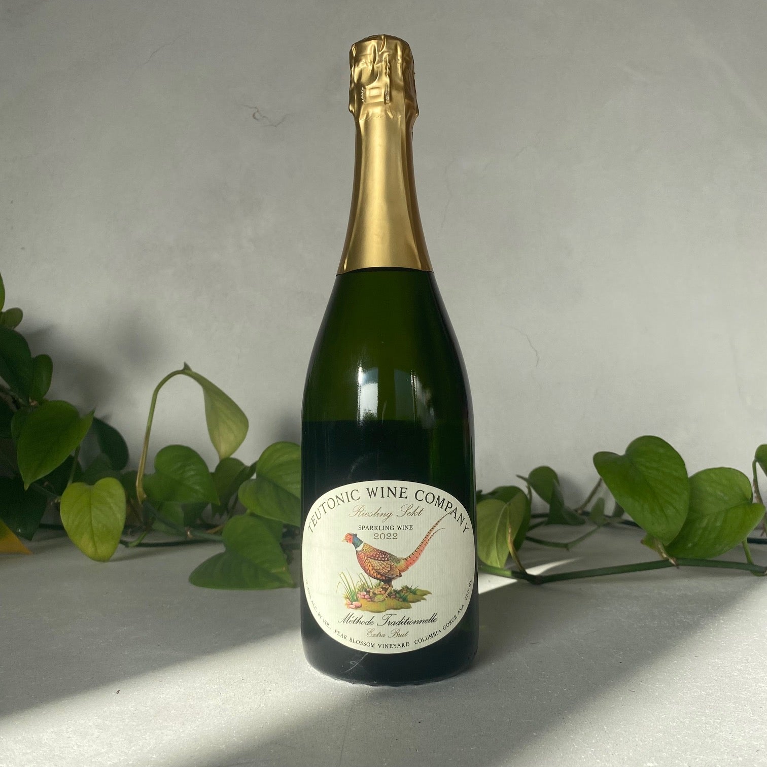 Teutonic Wine Company - Riesling Sekt 'Methode Traditionelle' - Willamette Valley, Oregon