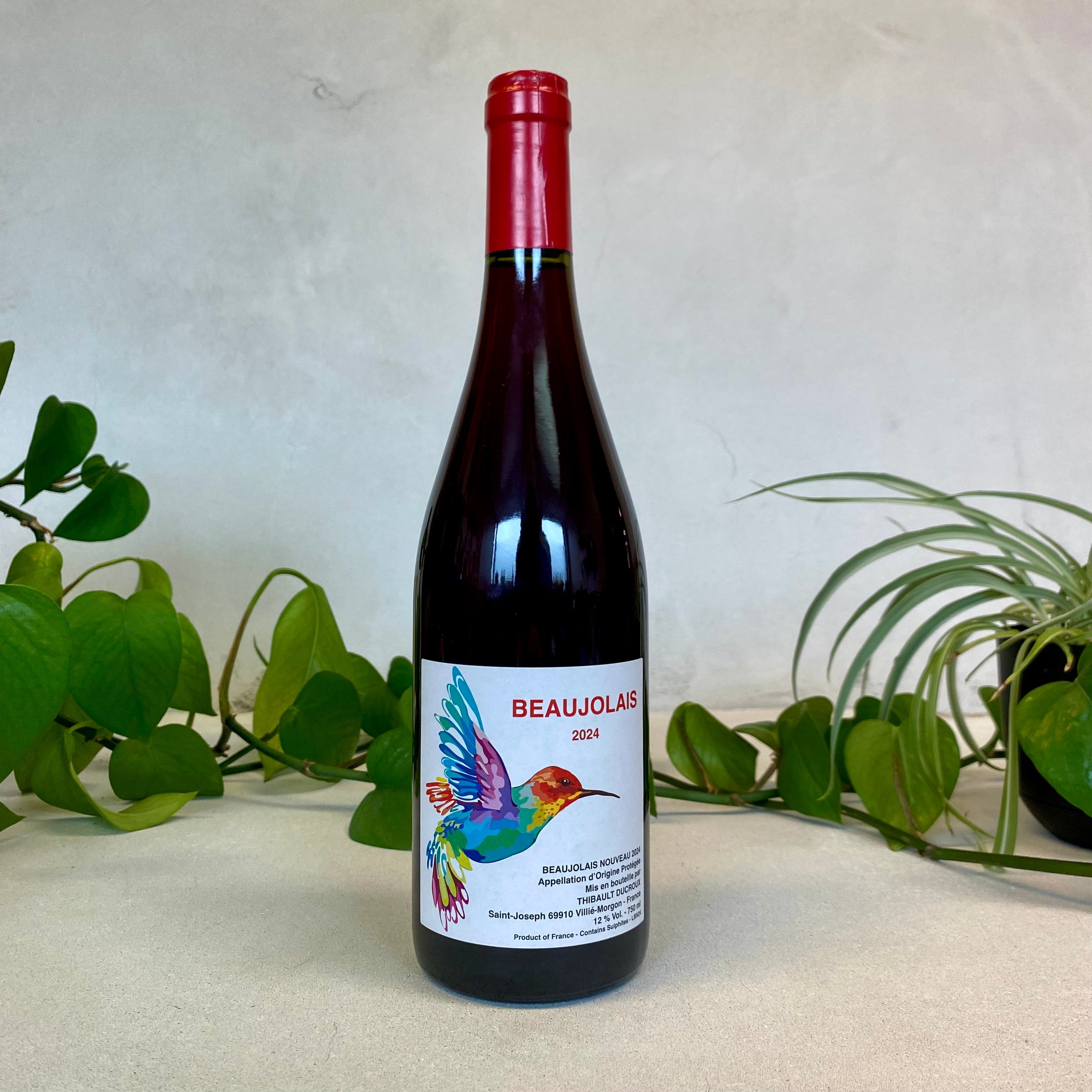 Thibault Ducroux - Beaujolais Nouveau - Beaujolais, France