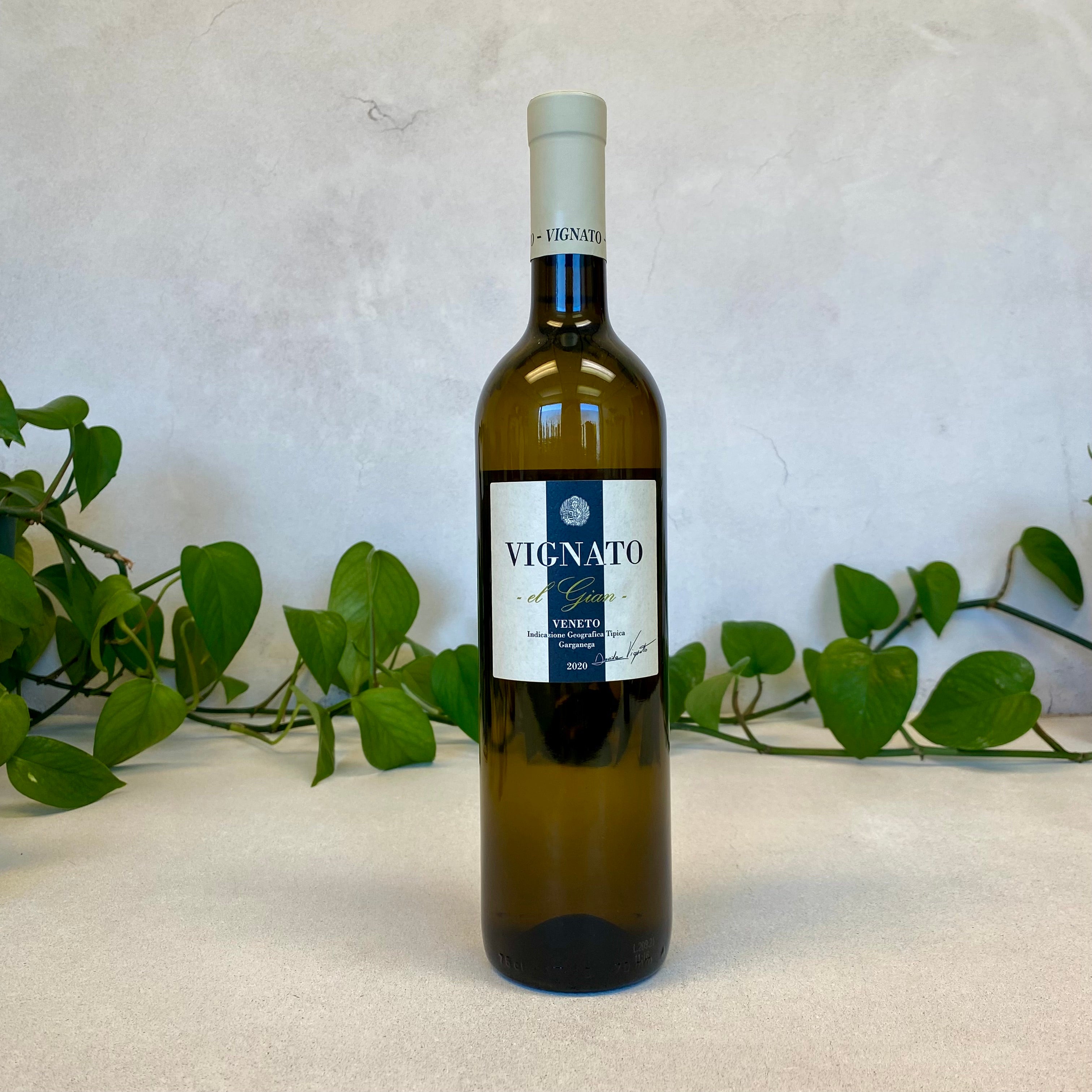 Vignato - El Gian - Veneto, Italy