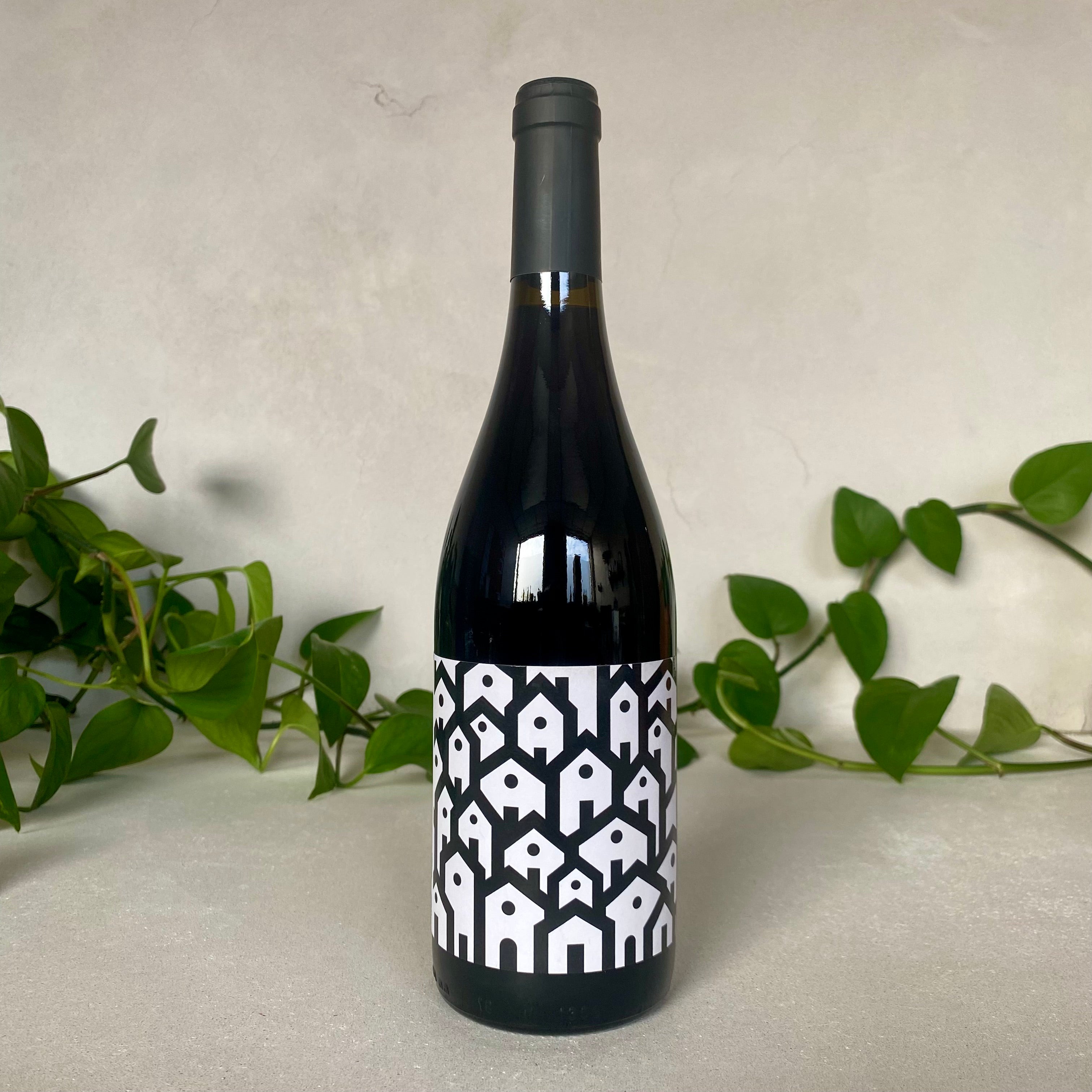 Bodegas Venta la Vega - Adaras Aldea - La Mancha, Spain