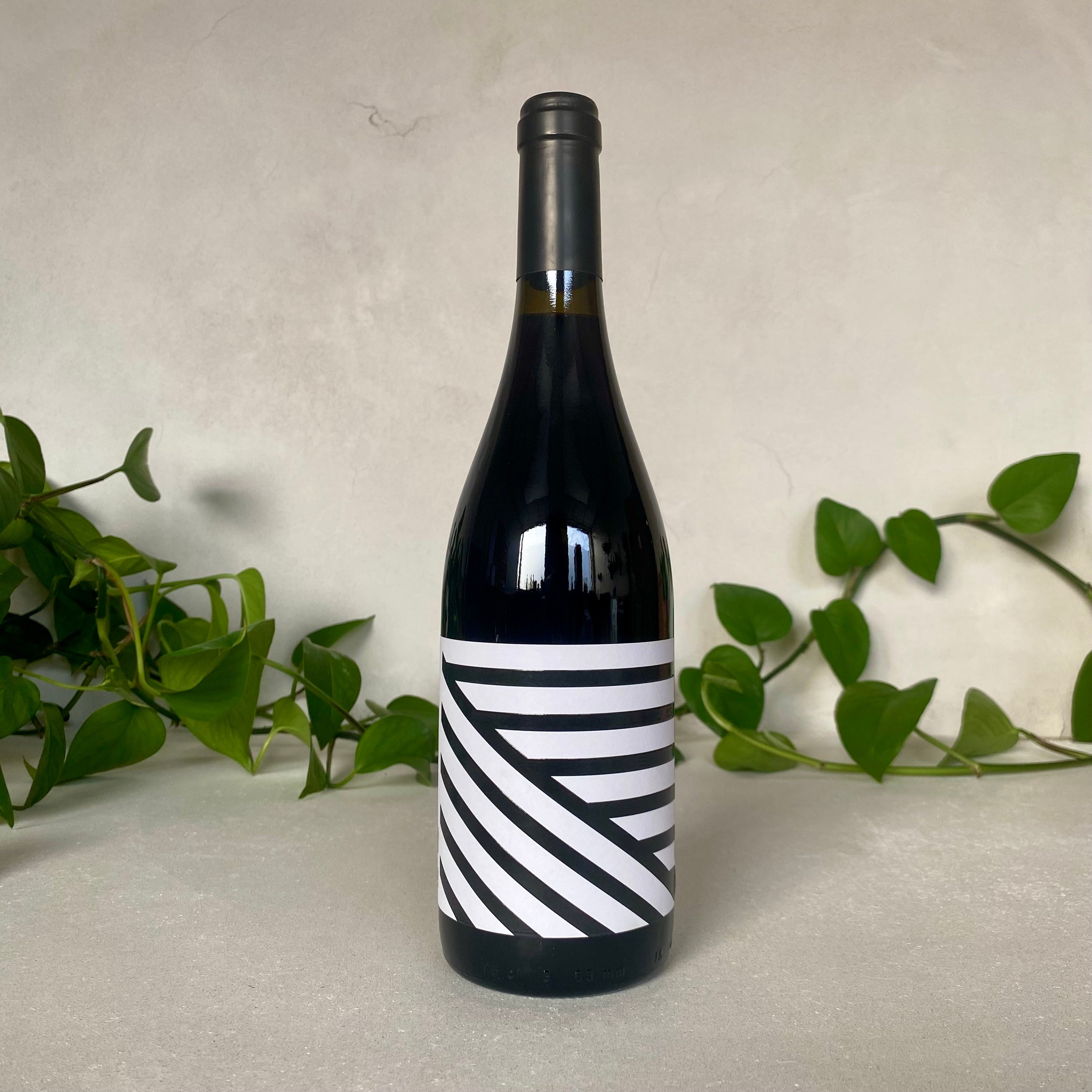 Bodegas Venta la Vega - Adaris Calizo - La Mancha, Spain