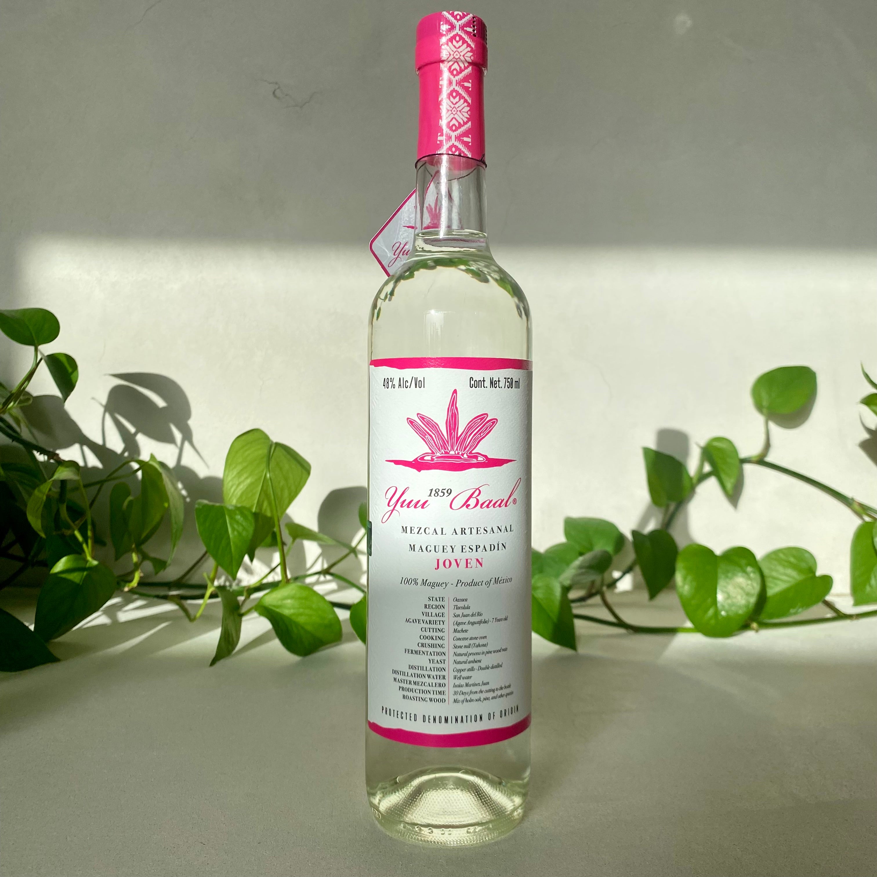 Yuu Baal - Mezcal Joven - Oaxaca, Mexico