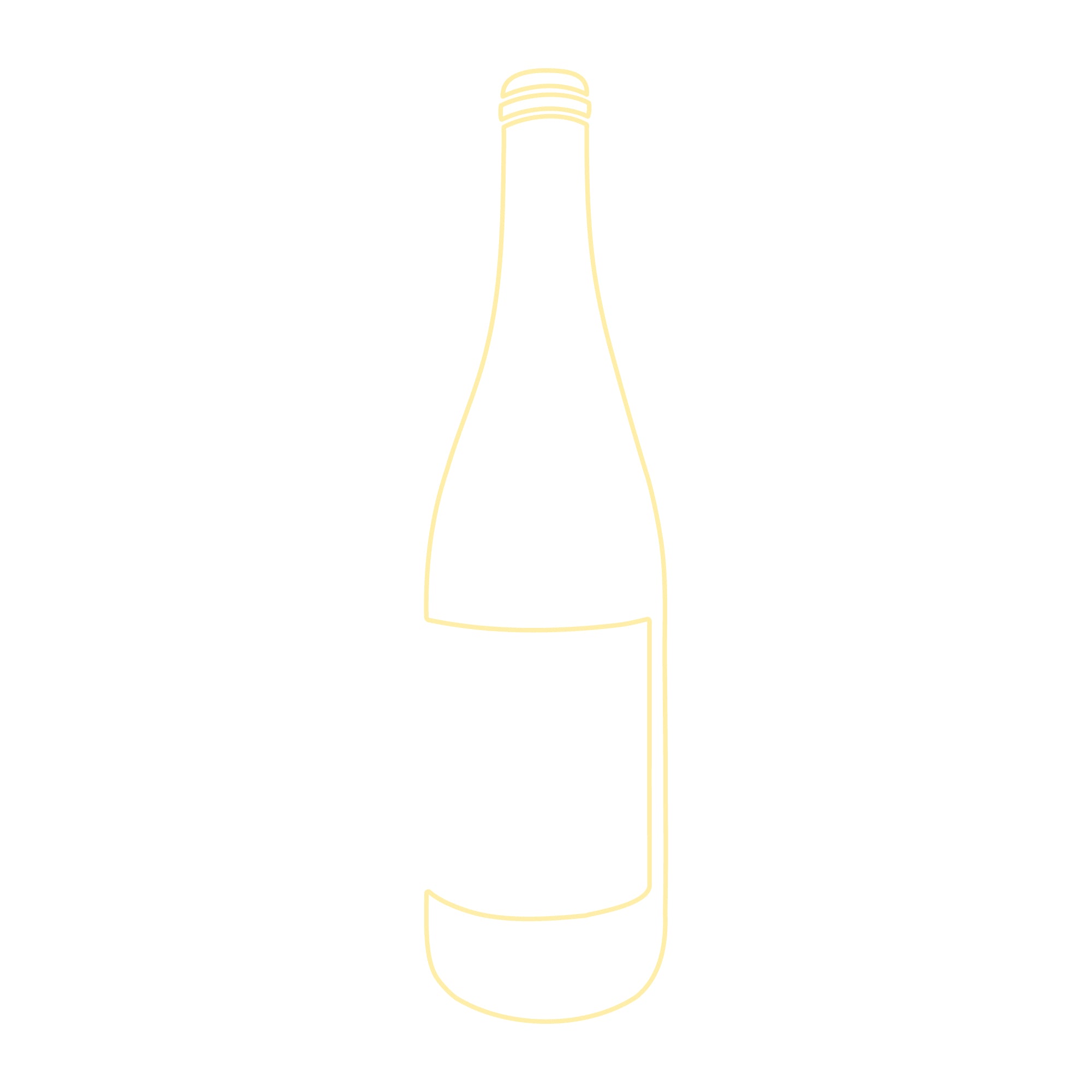 Stein - Riesling 'Blauschiefer' - Mosel, Germany