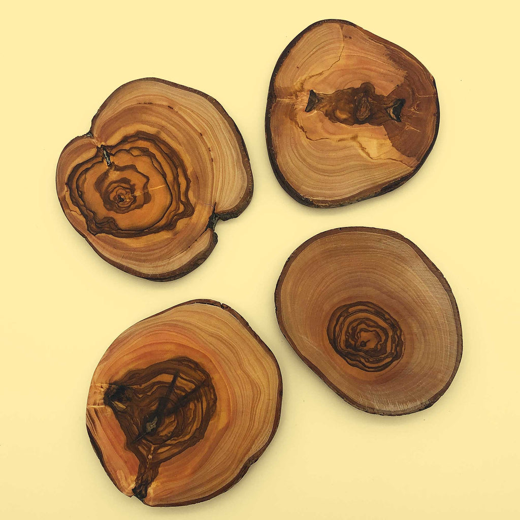 Handmade Olivewood Coaster